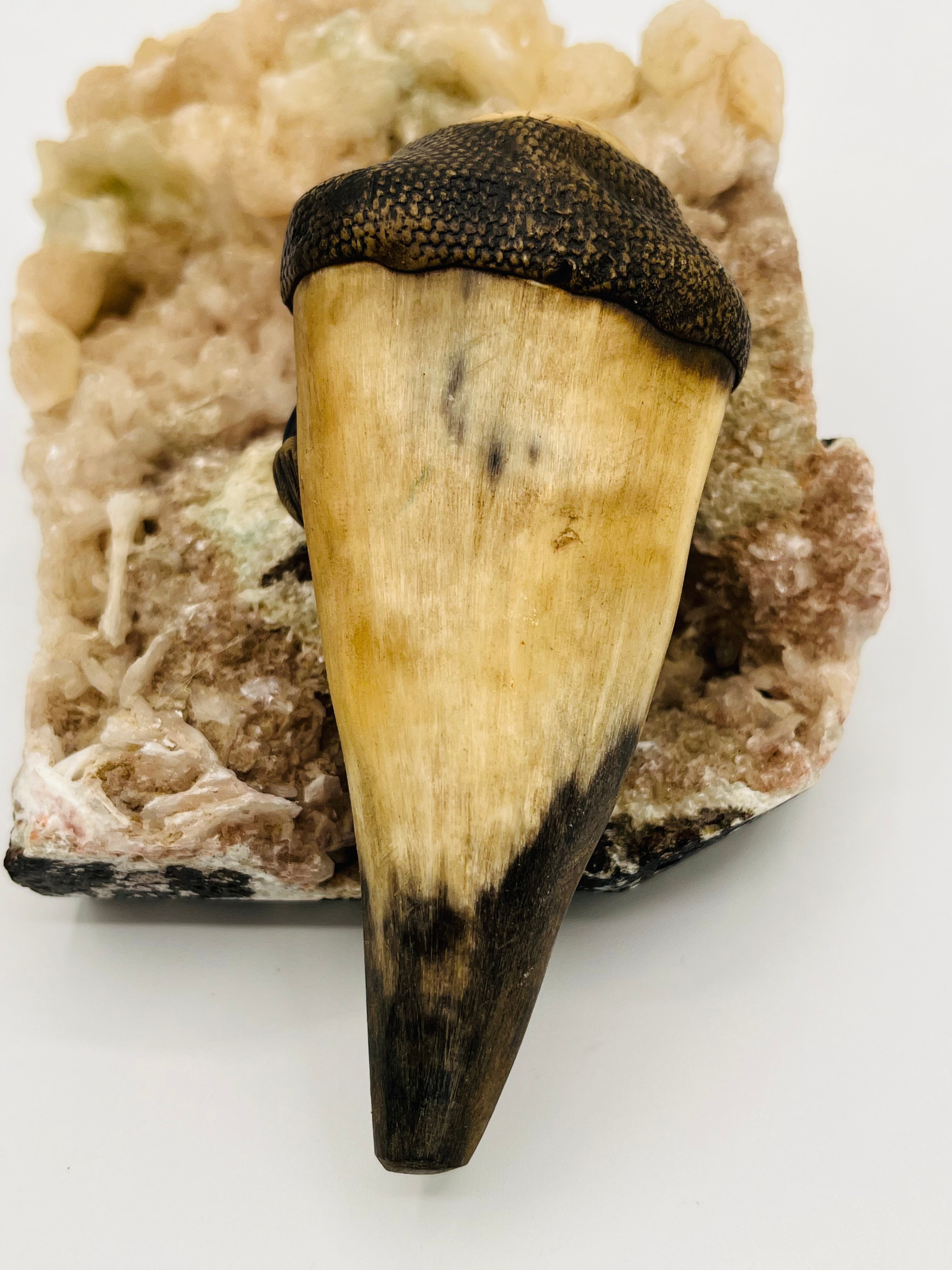 Handcrafted Bull Horn & Tagua Smoke Pipes
