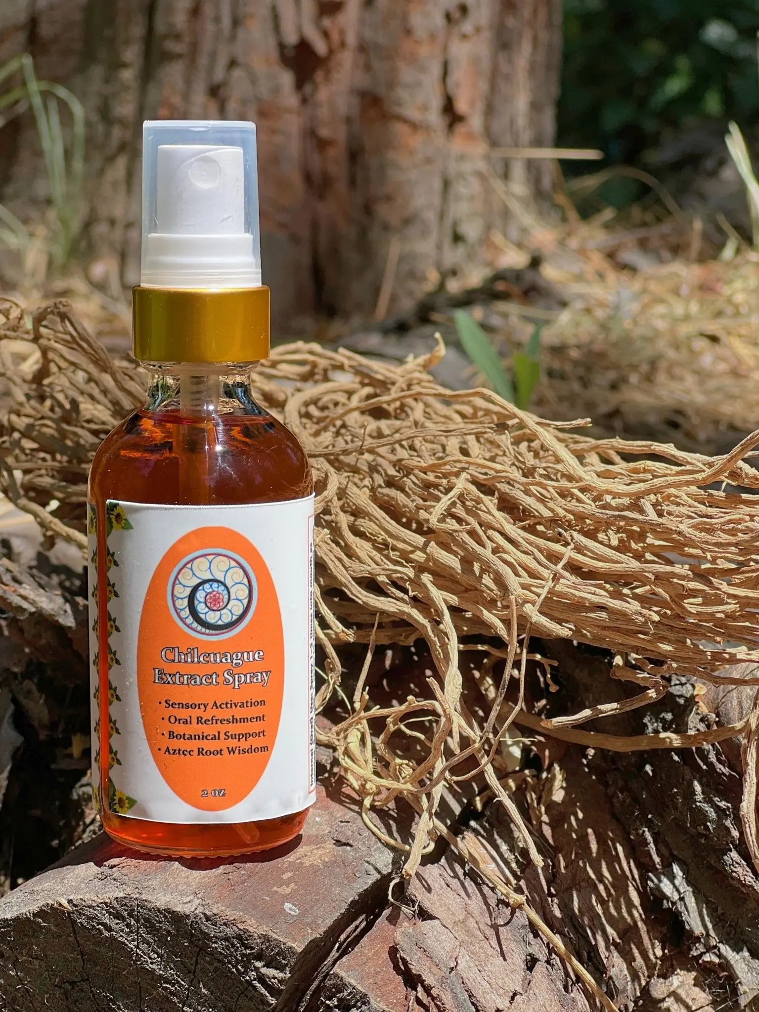 Sierra Gorda Chilcuague Extract by Collective Journey Art