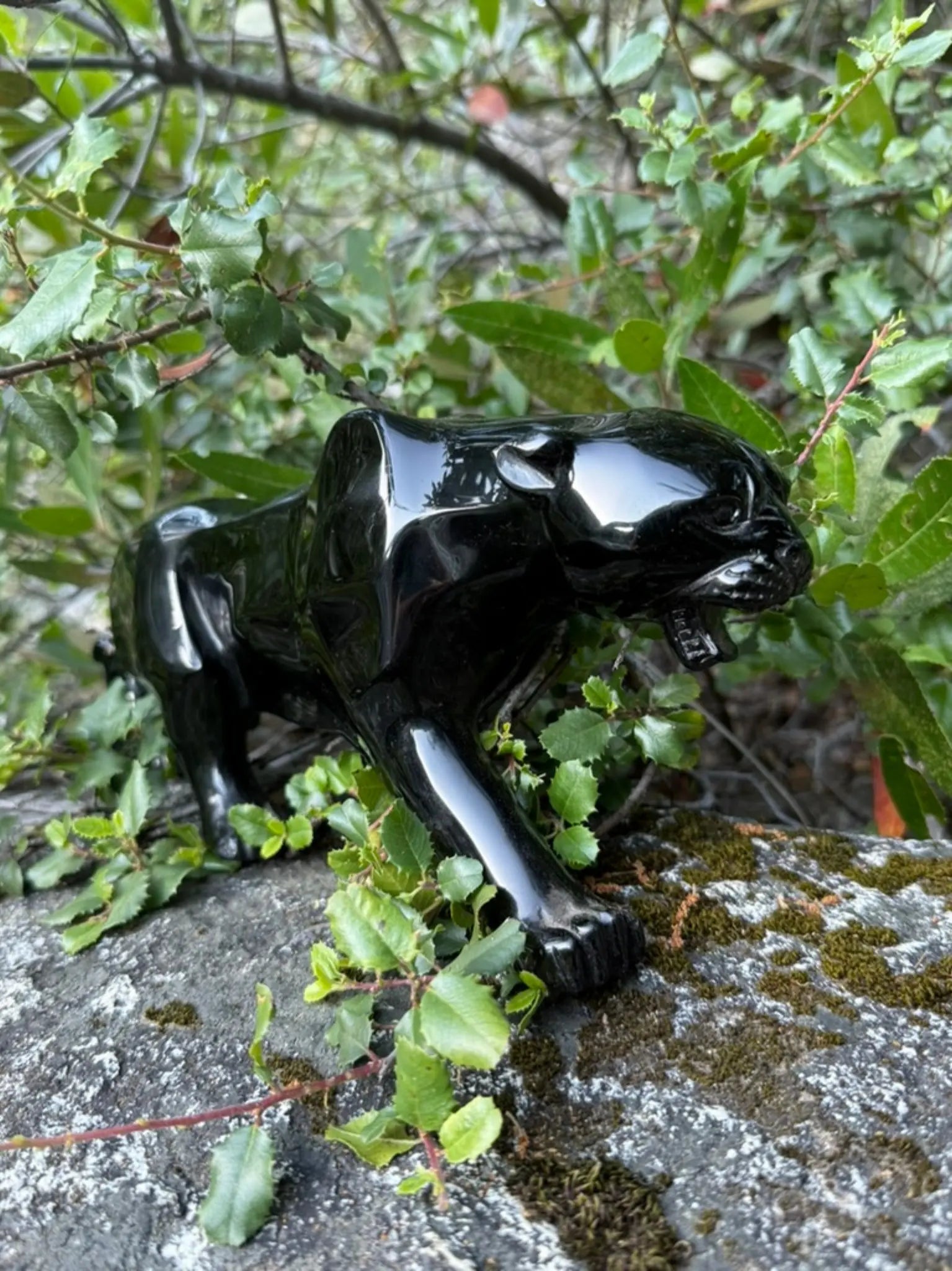Obsidian Jaguar | Strength in Stillness by Collective Journey Art